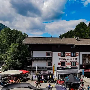 Отель Pinzgauerhof & Bike - Inclusive Evening Dinner Зальбах-Хинтерглемм