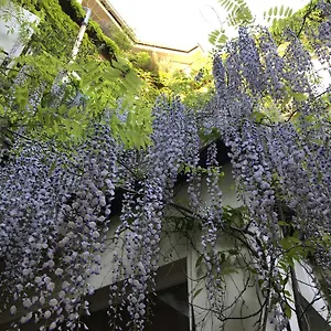 Hotel Wiener Kindl, Viena